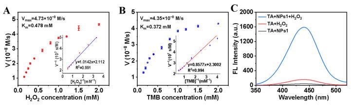 https://cdn.ncbi.nlm.nih.gov/pmc/blobs/8150/10383789/30c2a65bc51f/polymers-15-03002-g004.jpg