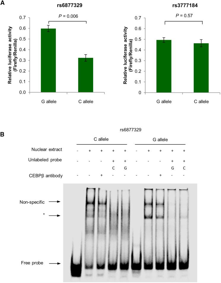 https://cdn.ncbi.nlm.nih.gov/pmc/blobs/8150/5608969/c23755b373cf/gr3.jpg