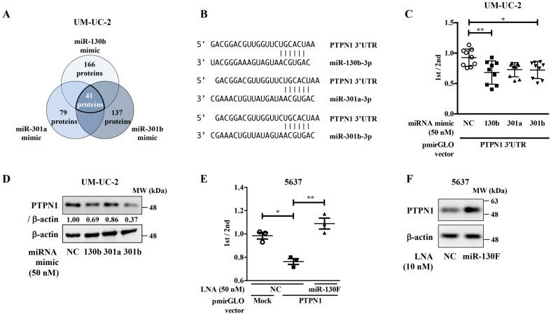 https://cdn.ncbi.nlm.nih.gov/pmc/blobs/8152/8124864/aa1a9b1b463e/ijms-22-04751-g003.jpg