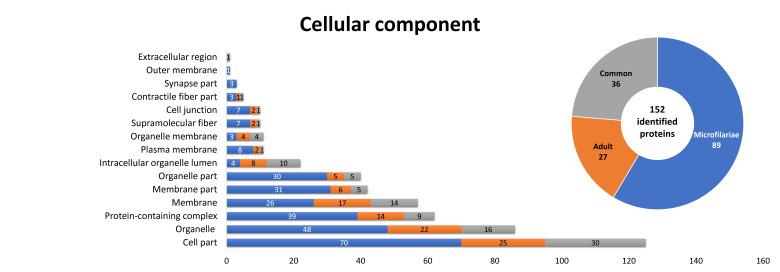 https://cdn.ncbi.nlm.nih.gov/pmc/blobs/8154/7914743/139217da96a3/pathogens-10-00174-g006.jpg