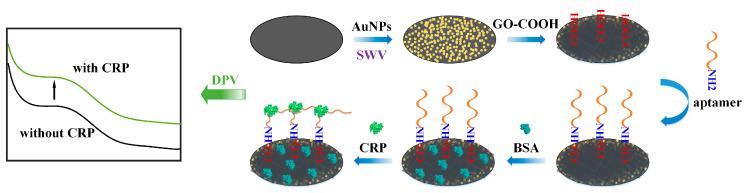 https://cdn.ncbi.nlm.nih.gov/pmc/blobs/8156/9775280/35adeab3086a/biosensors-12-01180-g001.jpg