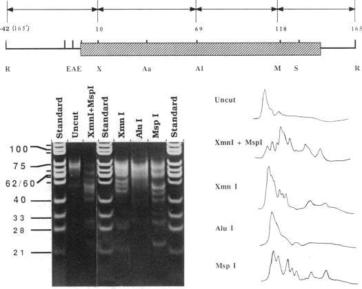 https://cdn.ncbi.nlm.nih.gov/pmc/blobs/8157/52976/8af98a9a536f/pnas01073-0234-a.jpg