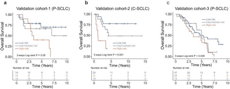 https://cdn.ncbi.nlm.nih.gov/pmc/blobs/8158/10796367/505e1b1f62df/41746_2024_1003_Fig3_HTML.jpg