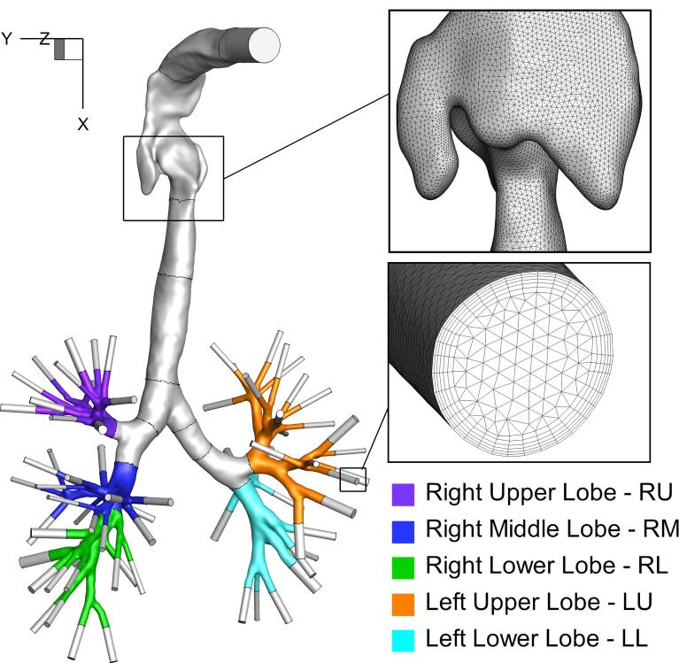 https://cdn.ncbi.nlm.nih.gov/pmc/blobs/8158/6460377/b1f11223b29d/gr2.jpg