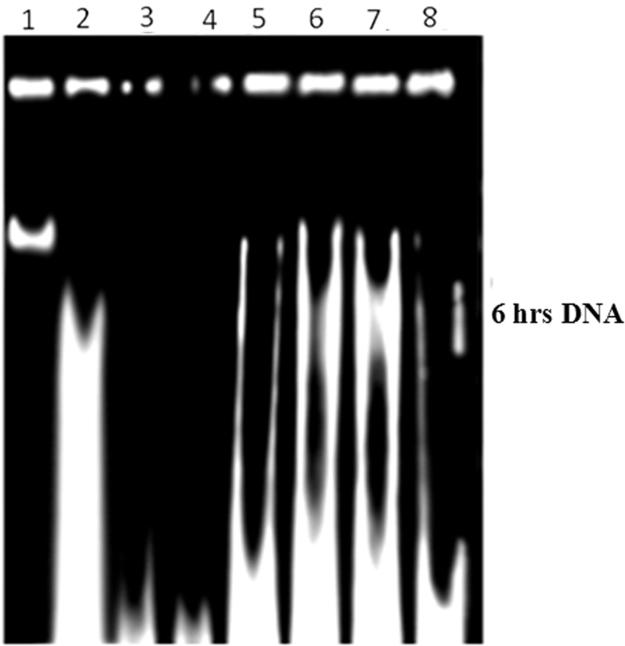 https://cdn.ncbi.nlm.nih.gov/pmc/blobs/815c/5614682/7455629a6204/gr6.jpg
