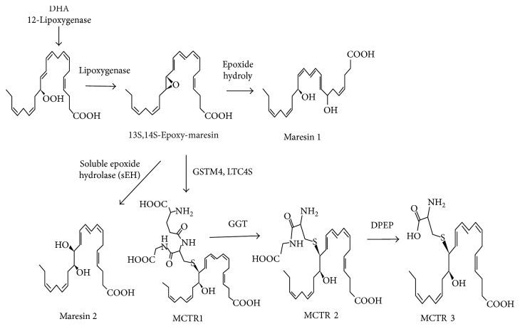 https://cdn.ncbi.nlm.nih.gov/pmc/blobs/815c/5838489/169dc0936d12/MI2018-2380319.001.jpg