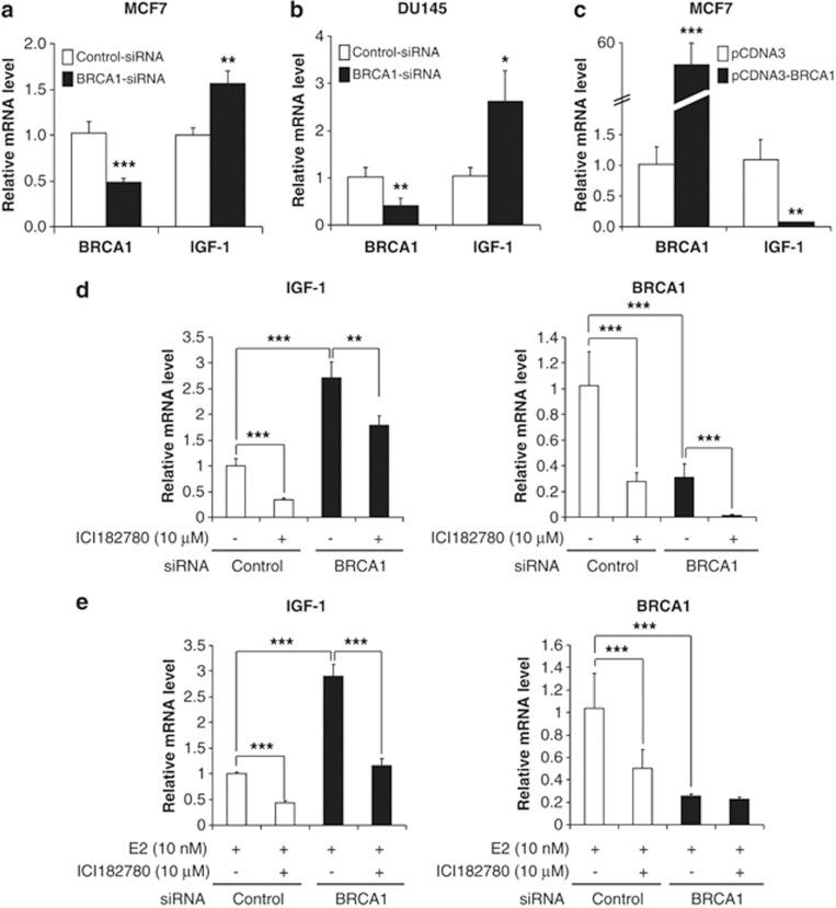 https://cdn.ncbi.nlm.nih.gov/pmc/blobs/815d/3388245/1da700722caf/cddis201278f1.jpg