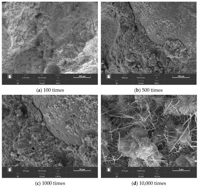 https://cdn.ncbi.nlm.nih.gov/pmc/blobs/815e/10780317/a36369b3a457/polymers-16-00041-g012.jpg