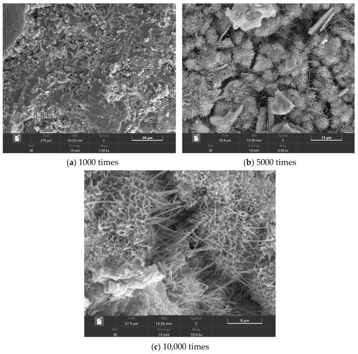 https://cdn.ncbi.nlm.nih.gov/pmc/blobs/815e/10780317/bb93d68f8ddf/polymers-16-00041-g013.jpg