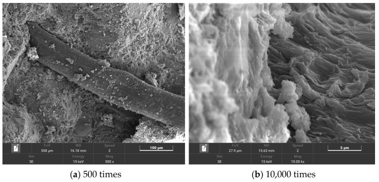 https://cdn.ncbi.nlm.nih.gov/pmc/blobs/815e/10780317/e956faaa8235/polymers-16-00041-g015.jpg