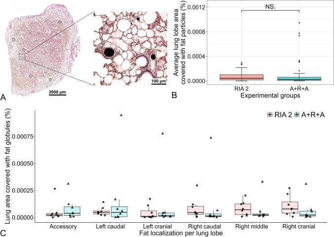 https://cdn.ncbi.nlm.nih.gov/pmc/blobs/815f/10965743/d57f82199932/402_2024_5220_Fig4_HTML.jpg