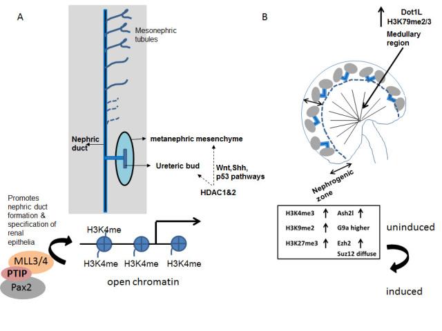 https://cdn.ncbi.nlm.nih.gov/pmc/blobs/815f/5168832/fe79ea4837cd/yjbm_89_4_565_g01.jpg