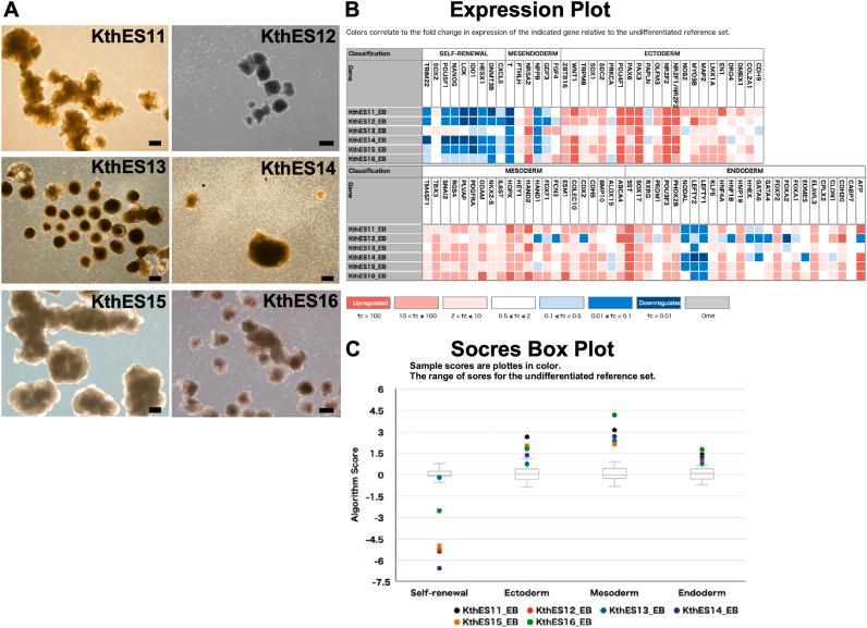 https://cdn.ncbi.nlm.nih.gov/pmc/blobs/8160/9647332/4f64a1f1b3df/gr4.jpg