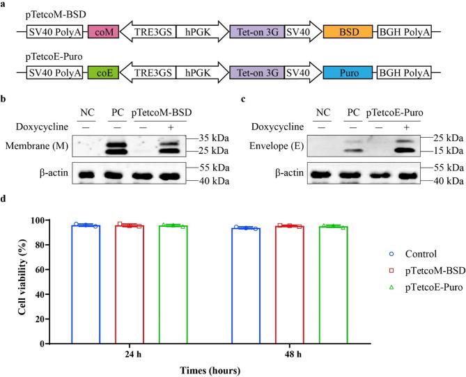 https://cdn.ncbi.nlm.nih.gov/pmc/blobs/8161/12302831/9142cf8c4853/12896_2025_1016_Fig3_HTML.jpg