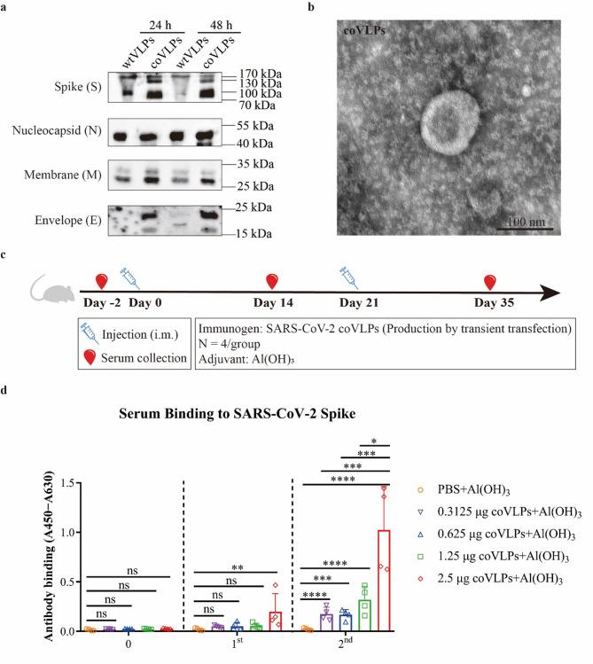 https://cdn.ncbi.nlm.nih.gov/pmc/blobs/8161/12302831/93991b6d61ad/12896_2025_1016_Fig1_HTML.jpg