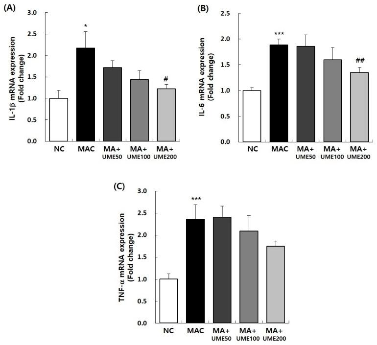 https://cdn.ncbi.nlm.nih.gov/pmc/blobs/8162/11172872/52add4426583/ijms-25-06197-g009.jpg