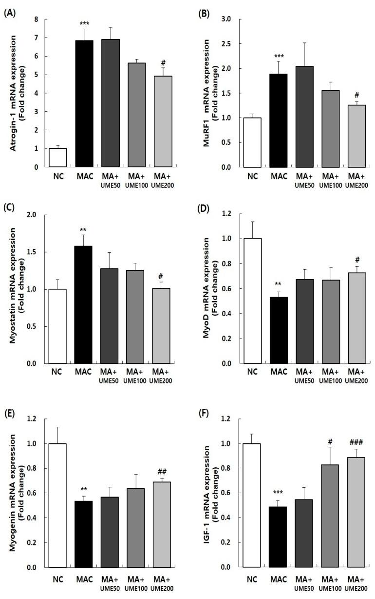 https://cdn.ncbi.nlm.nih.gov/pmc/blobs/8162/11172872/892db476f944/ijms-25-06197-g008.jpg