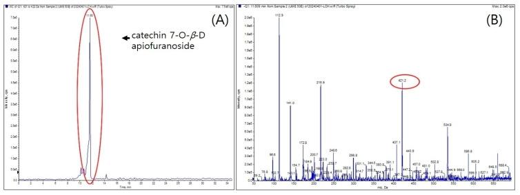 https://cdn.ncbi.nlm.nih.gov/pmc/blobs/8162/11172872/d36f37fa62c2/ijms-25-06197-g002.jpg