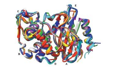 https://cdn.ncbi.nlm.nih.gov/pmc/blobs/8162/5405625/52aa4ecb99cb/CDT-17-1006_F4.jpg