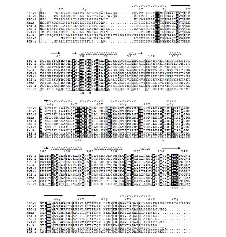 https://cdn.ncbi.nlm.nih.gov/pmc/blobs/8162/5405625/6ed12543f438/CDT-17-1006_F3.jpg