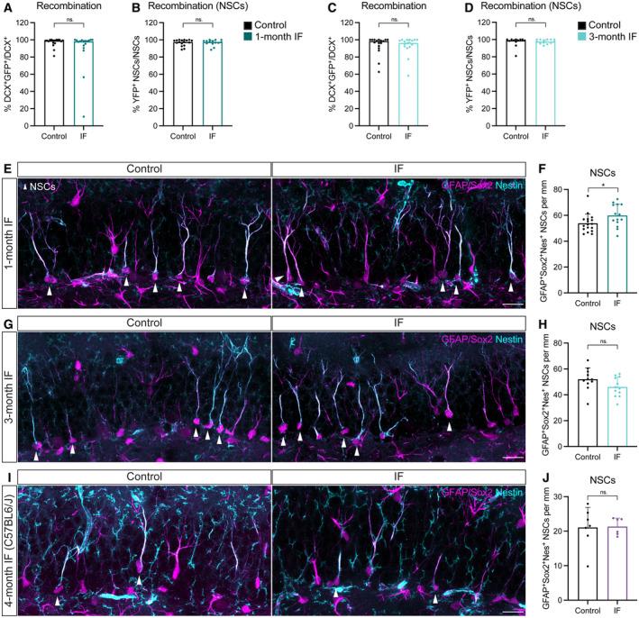 https://cdn.ncbi.nlm.nih.gov/pmc/blobs/8164/10702802/2485ca3df7ec/EMBR-24-e57268-g005.jpg