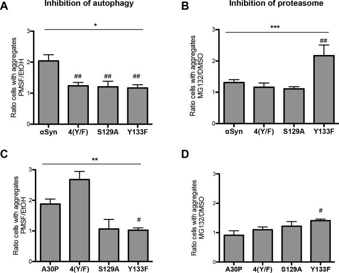 https://cdn.ncbi.nlm.nih.gov/pmc/blobs/8166/4920419/a05ef1a3c2a7/pgen.1006098.g013.jpg