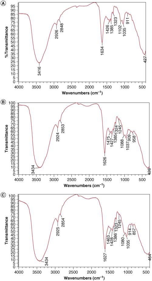 https://cdn.ncbi.nlm.nih.gov/pmc/blobs/8167/11572278/5a1fa86af4e9/IFSO_A_2419806_F0002_C.jpg
