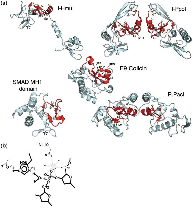 https://cdn.ncbi.nlm.nih.gov/pmc/blobs/8167/3384342/b3e267065442/gks226f3.jpg