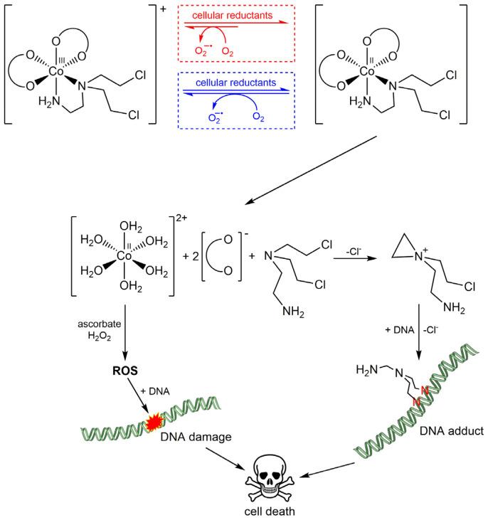 https://cdn.ncbi.nlm.nih.gov/pmc/blobs/8168/12298015/718b83615331/pharmaceuticals-18-01047-g004.jpg