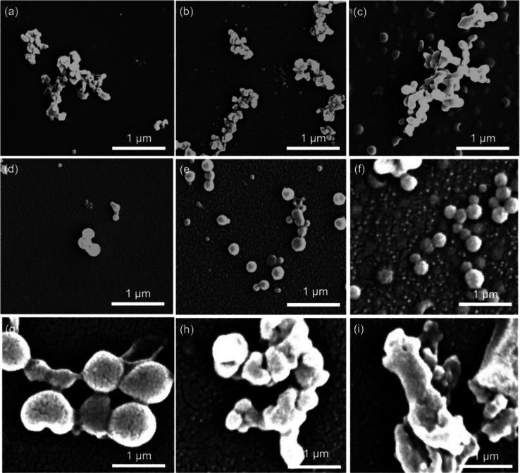 https://cdn.ncbi.nlm.nih.gov/pmc/blobs/8169/12019433/55d4f26544fe/ao4c07933_0002.jpg