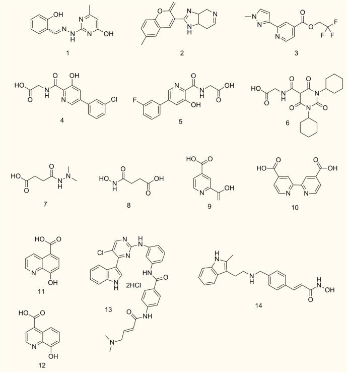 https://cdn.ncbi.nlm.nih.gov/pmc/blobs/816a/8963961/1ed09c9a3134/fimmu-13-859893-g005.jpg