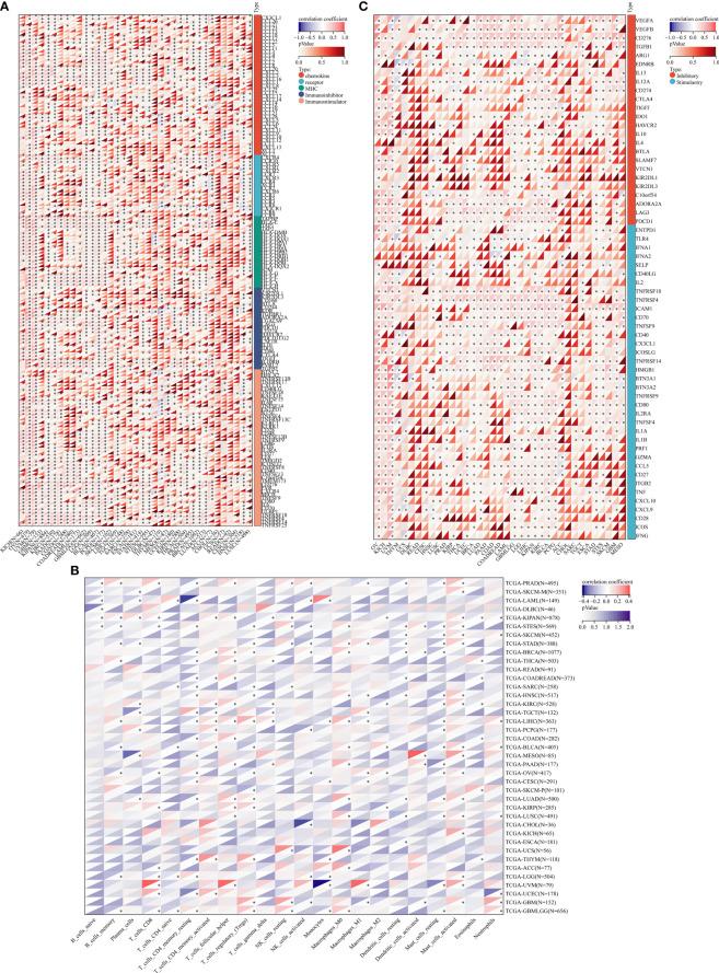 https://cdn.ncbi.nlm.nih.gov/pmc/blobs/816a/8963961/b154121c1cb2/fimmu-13-859893-g004.jpg