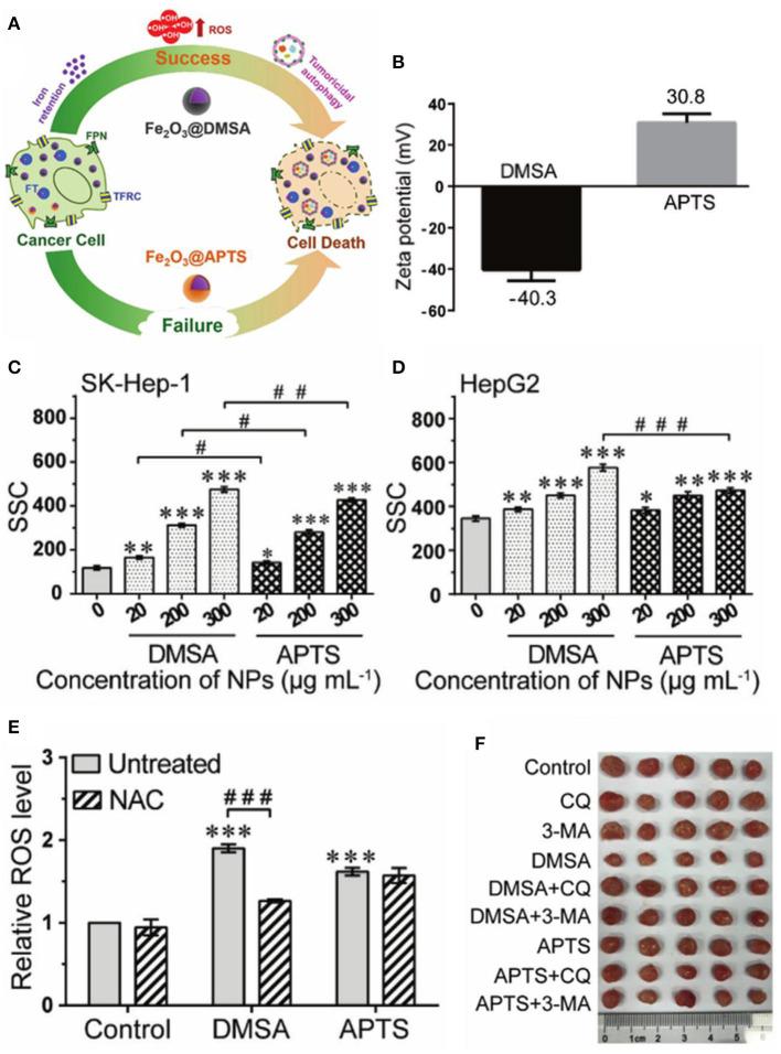 https://cdn.ncbi.nlm.nih.gov/pmc/blobs/816b/8110829/0edddd8ea5c8/fchem-09-651053-g0004.jpg