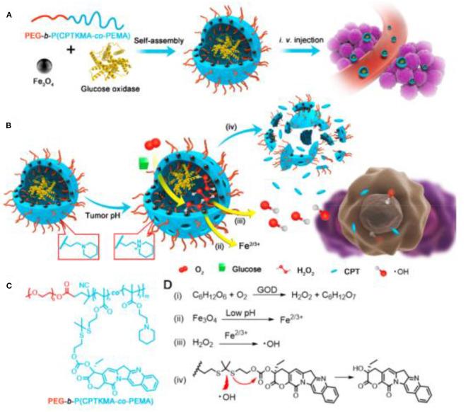 https://cdn.ncbi.nlm.nih.gov/pmc/blobs/816b/8110829/712e683ded05/fchem-09-651053-g0011.jpg