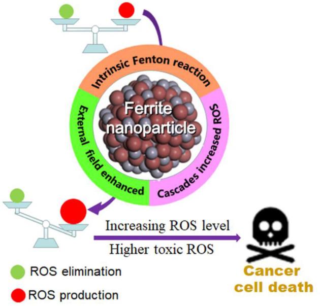 https://cdn.ncbi.nlm.nih.gov/pmc/blobs/816b/8110829/b596b8708571/fchem-09-651053-g0014.jpg