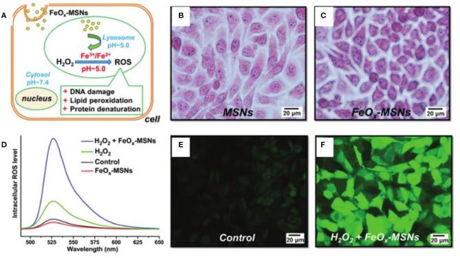 https://cdn.ncbi.nlm.nih.gov/pmc/blobs/816b/8110829/d234730b5a75/fchem-09-651053-g0001.jpg