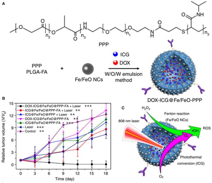 https://cdn.ncbi.nlm.nih.gov/pmc/blobs/816b/8110829/ea8aac3d4f50/fchem-09-651053-g0005.jpg