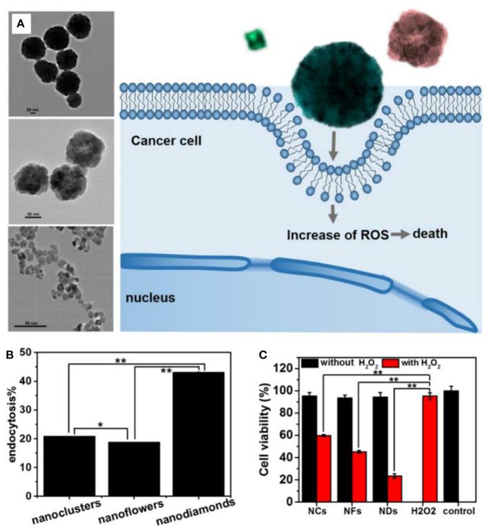 https://cdn.ncbi.nlm.nih.gov/pmc/blobs/816b/8110829/ee70cbd4bb63/fchem-09-651053-g0002.jpg