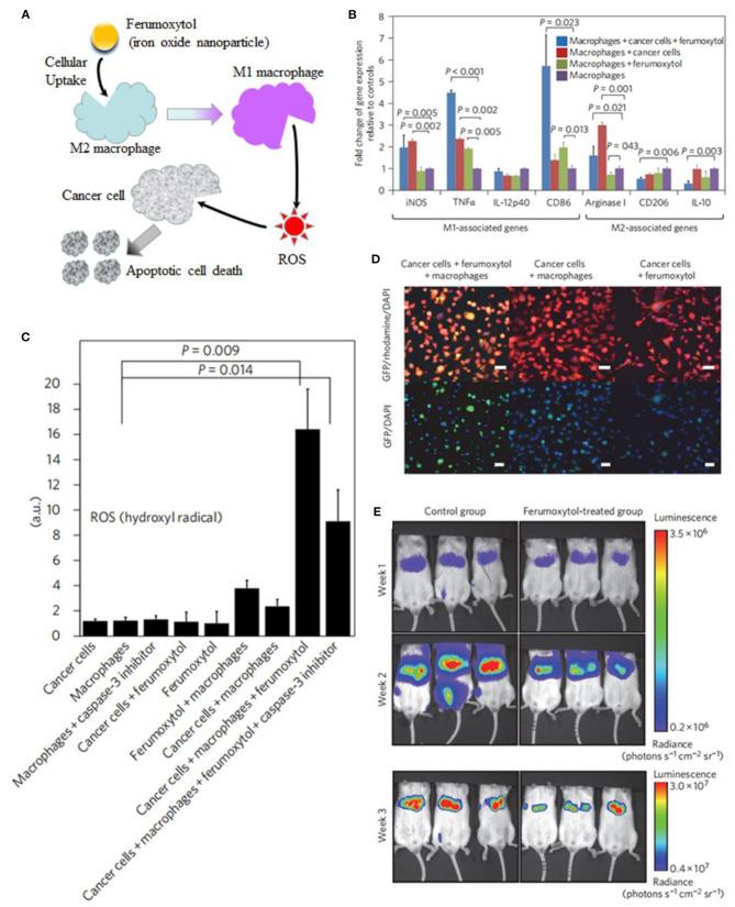 https://cdn.ncbi.nlm.nih.gov/pmc/blobs/816b/8110829/f8fa9db17706/fchem-09-651053-g0013.jpg