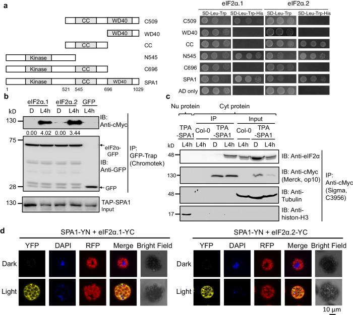 https://cdn.ncbi.nlm.nih.gov/pmc/blobs/816c/11043401/616f897651fa/41467_2024_47848_Fig3_HTML.jpg