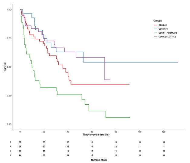 https://cdn.ncbi.nlm.nih.gov/pmc/blobs/816c/11628754/b3f7e3fdd902/TurkJHematol-41-236-figure-2.jpg