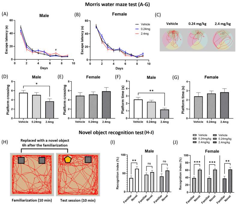 https://cdn.ncbi.nlm.nih.gov/pmc/blobs/816c/12346716/34ca34dc5301/ijms-26-07289-g004.jpg