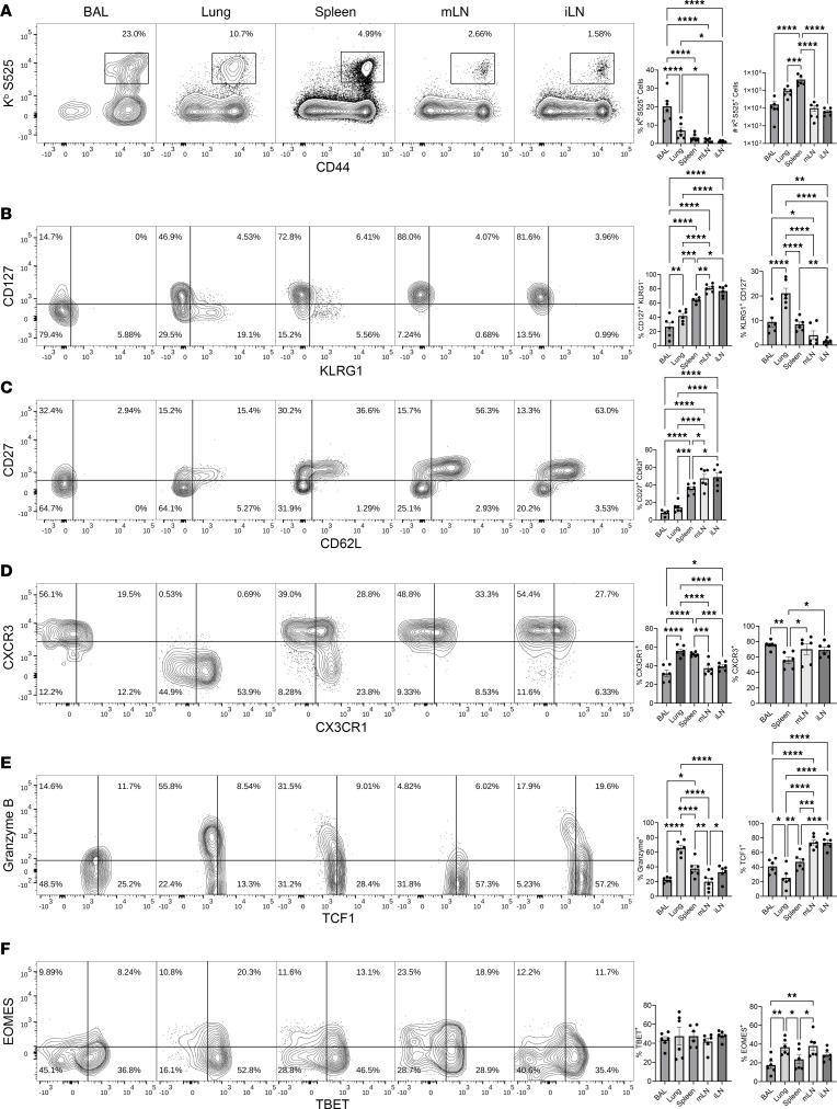 https://cdn.ncbi.nlm.nih.gov/pmc/blobs/816e/10721330/071029b3605b/jciinsight-8-172510-g063.jpg