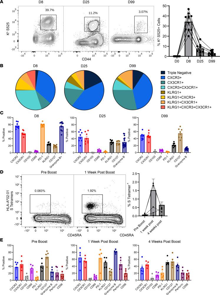 https://cdn.ncbi.nlm.nih.gov/pmc/blobs/816e/10721330/2afb5f91a3c8/jciinsight-8-172510-g064.jpg
