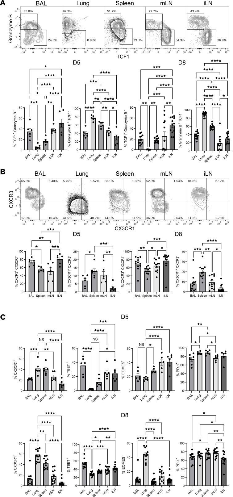 https://cdn.ncbi.nlm.nih.gov/pmc/blobs/816e/10721330/7e098313f435/jciinsight-8-172510-g062.jpg