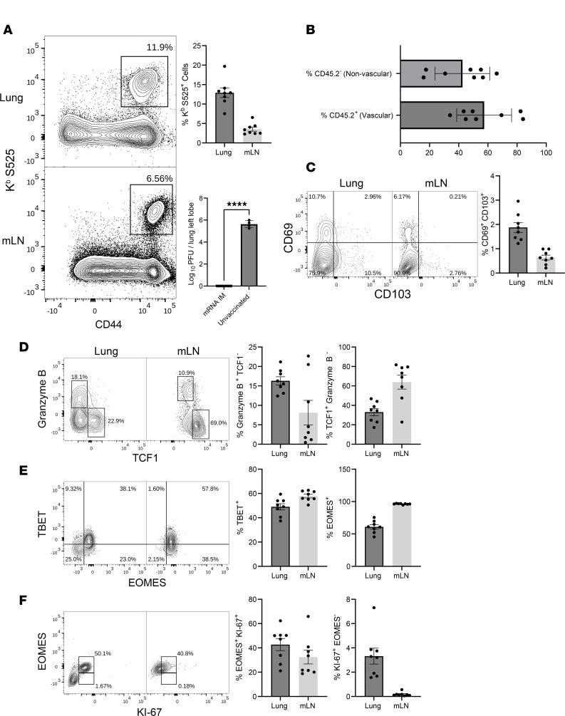 https://cdn.ncbi.nlm.nih.gov/pmc/blobs/816e/10721330/ab10a914a517/jciinsight-8-172510-g065.jpg