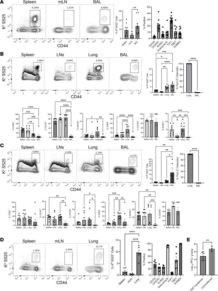 https://cdn.ncbi.nlm.nih.gov/pmc/blobs/816e/10721330/c3e29a1f8c4f/jciinsight-8-172510-g067.jpg