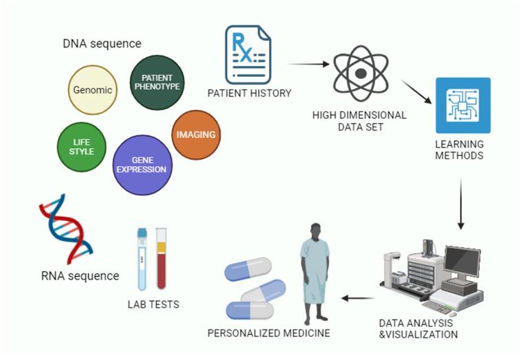 https://cdn.ncbi.nlm.nih.gov/pmc/blobs/816f/12024664/e4d4266f794a/bioengineering-12-00363-g006.jpg