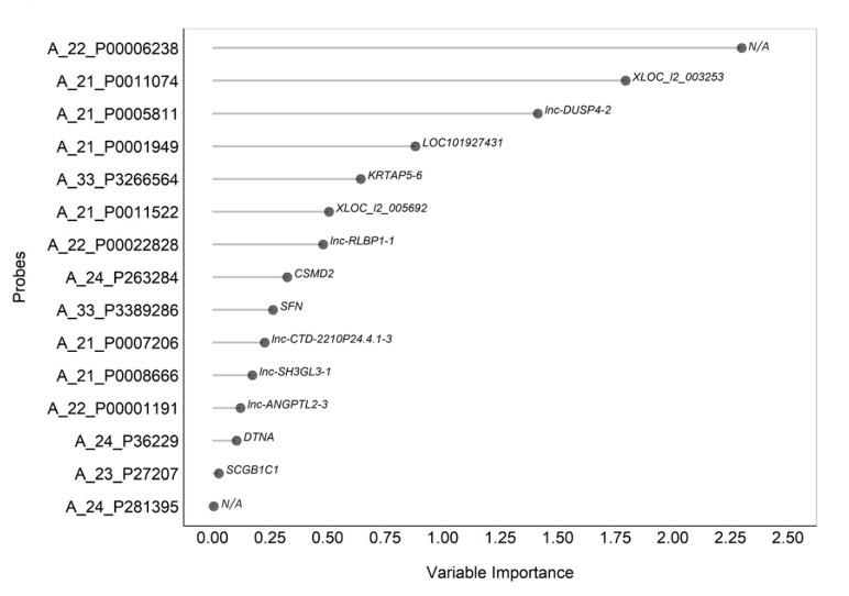 https://cdn.ncbi.nlm.nih.gov/pmc/blobs/8171/7139384/9b68ed21558d/ijms-21-01969-g003.jpg