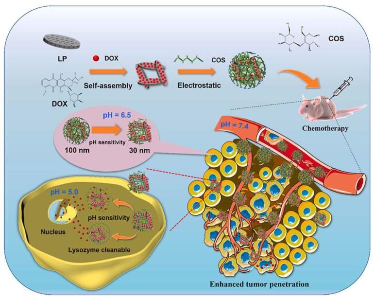https://cdn.ncbi.nlm.nih.gov/pmc/blobs/8172/10780101/9b06fcee6f5c/molecules-29-00031-g008.jpg